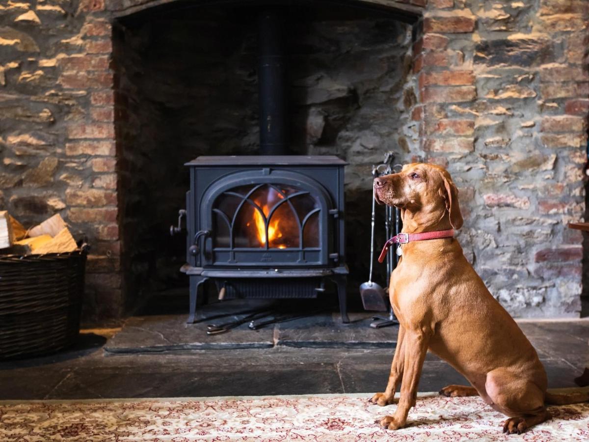 เพนเกลลี ฟาร์มเฮาส์ บีแอนด์บี Bed & Breakfast ทรูโร ภายนอก รูปภาพ